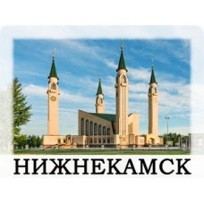 Нижнекамск